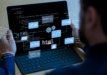 Web Development
